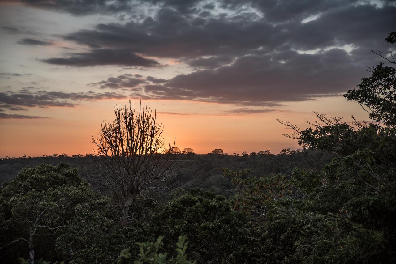 Rancho Capulin B&B Tárcoles エクステリア 写真