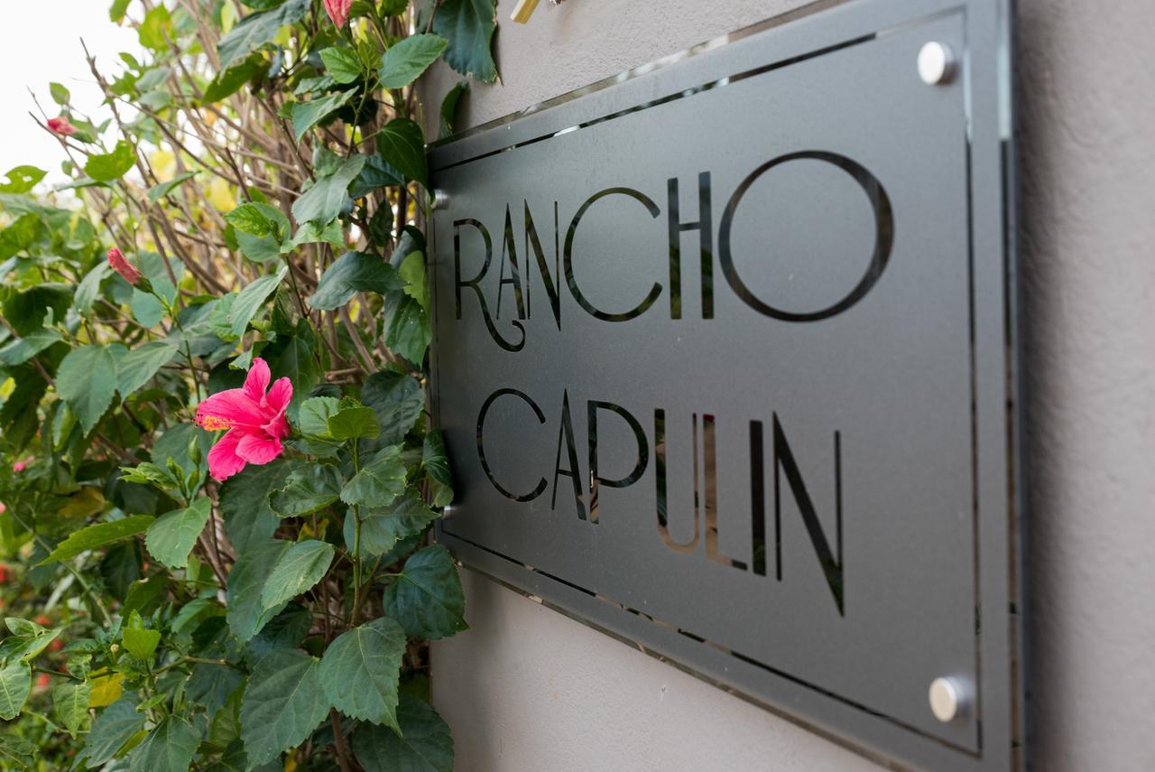 Rancho Capulin B&B Tárcoles エクステリア 写真